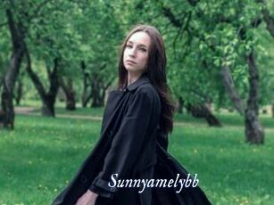 Sunnyamelybb