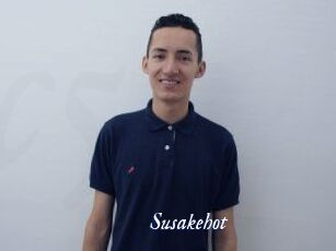 Susakehot