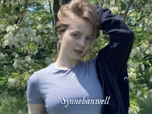 Synnebanwell