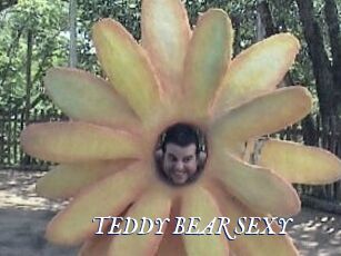TEDDY_BEAR_SEXY