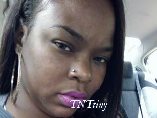 T_N_Ttiny