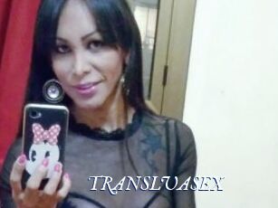 TRANSLUASEX