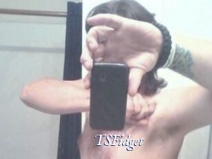 TSFidget