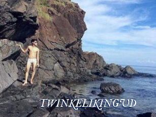 TWINKELIKINGUD
