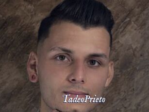 TadeoPrieto Cam 5