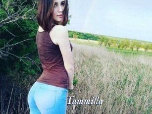 Tammilla_