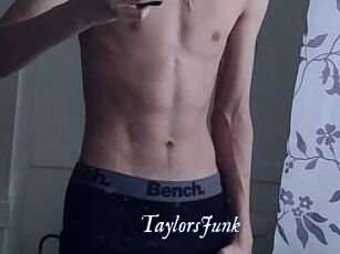 TaylorsJunk