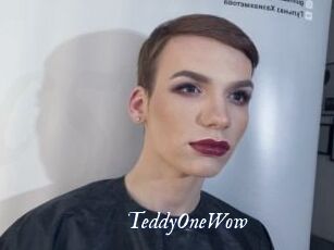 TeddyOneWow Cam 5