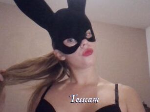 Tesscam