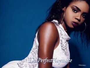 ThePerfectPlaymate Cam 5