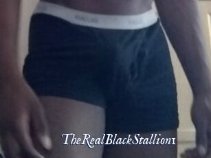 TheRealBlackStallion1