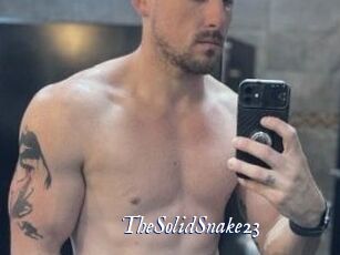 TheSolidSnake23