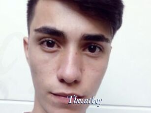 Thecatboy