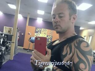 Tigerstripes6767