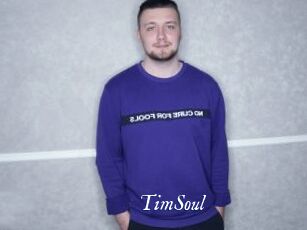 TimSoul