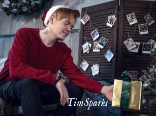 TimSparks