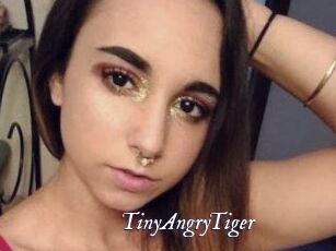 TinyAngryTiger