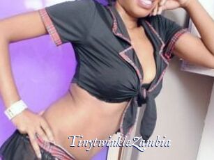 TinytwinkleZambia