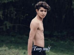 Tony_wolf