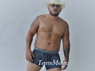 ToretoMontes