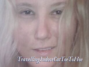 TravellingIndoorCatToeToHoe