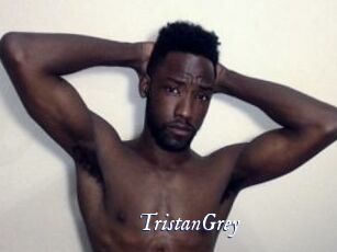 Tristan_Grey Cam 5