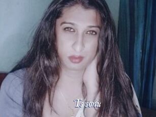 Ts_sonu