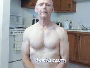 Tumbleweed13 Cam 5
