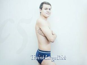 TwinkLargeDick Cam 5