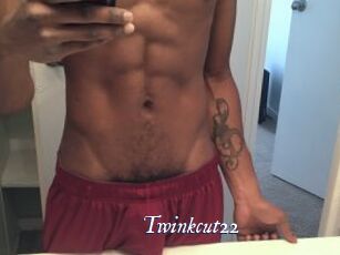 Twinkcut22