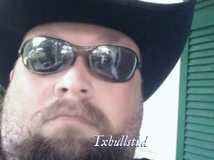 Txbullstud