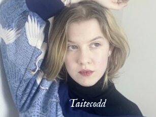 taitecodd Cam 5