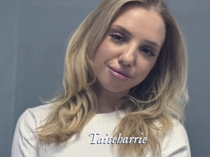 Taiteharrie