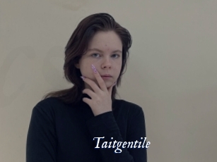 Taitgentile
