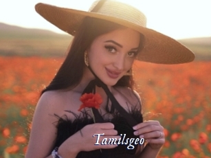 Tamilsgeo