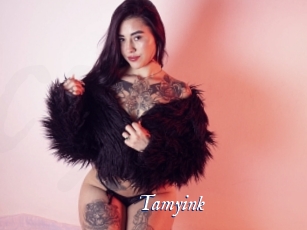 tamyink Cam 5