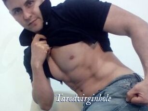 Tarodvirginhole