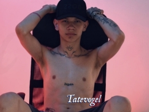 Tatevogel