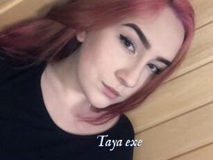 Taya_exe