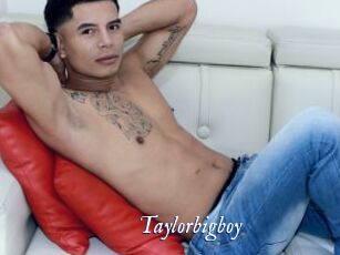 Taylorbigboy