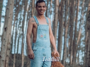 Teddhill