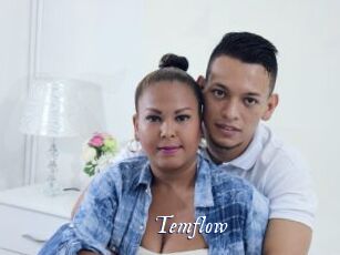 temflow Cam 5