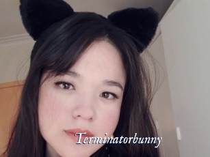 Terminatorbunny