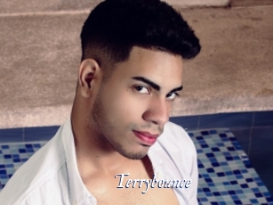 Terrybounce