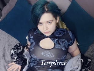 Terrykleens
