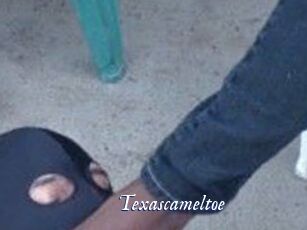 Texascameltoe