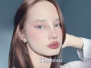 Thaivenus