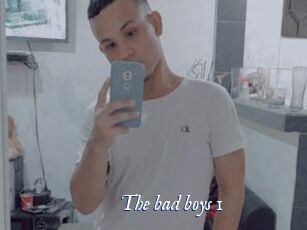 The_bad_boys_1