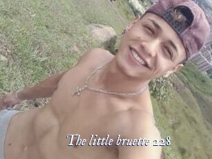 The_little_bruette_228
