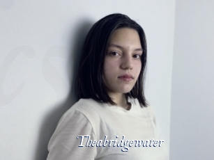 Theabridgewater